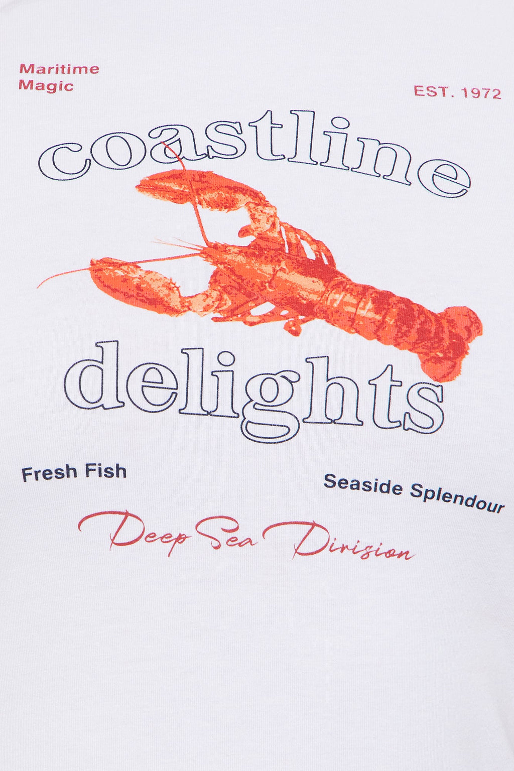 Coastline Delight Raglan Baby Tee - Red/combo