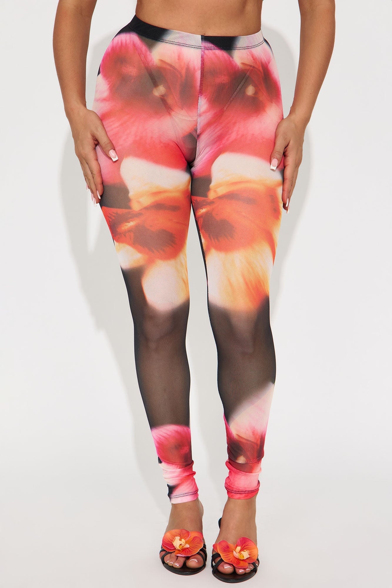 Avalina Floral Print Mesh Legging - Black/combo