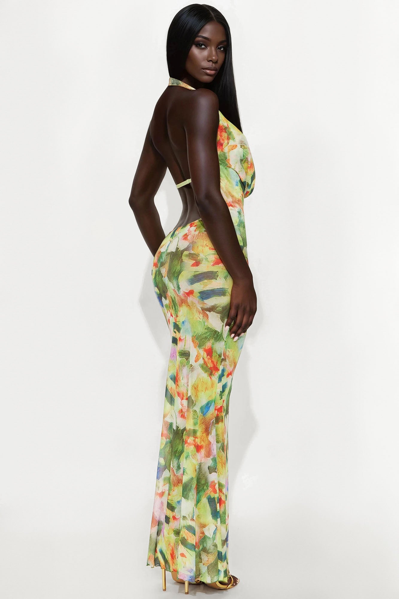 Mariposa Mesh Maxi Dress - Green/combo