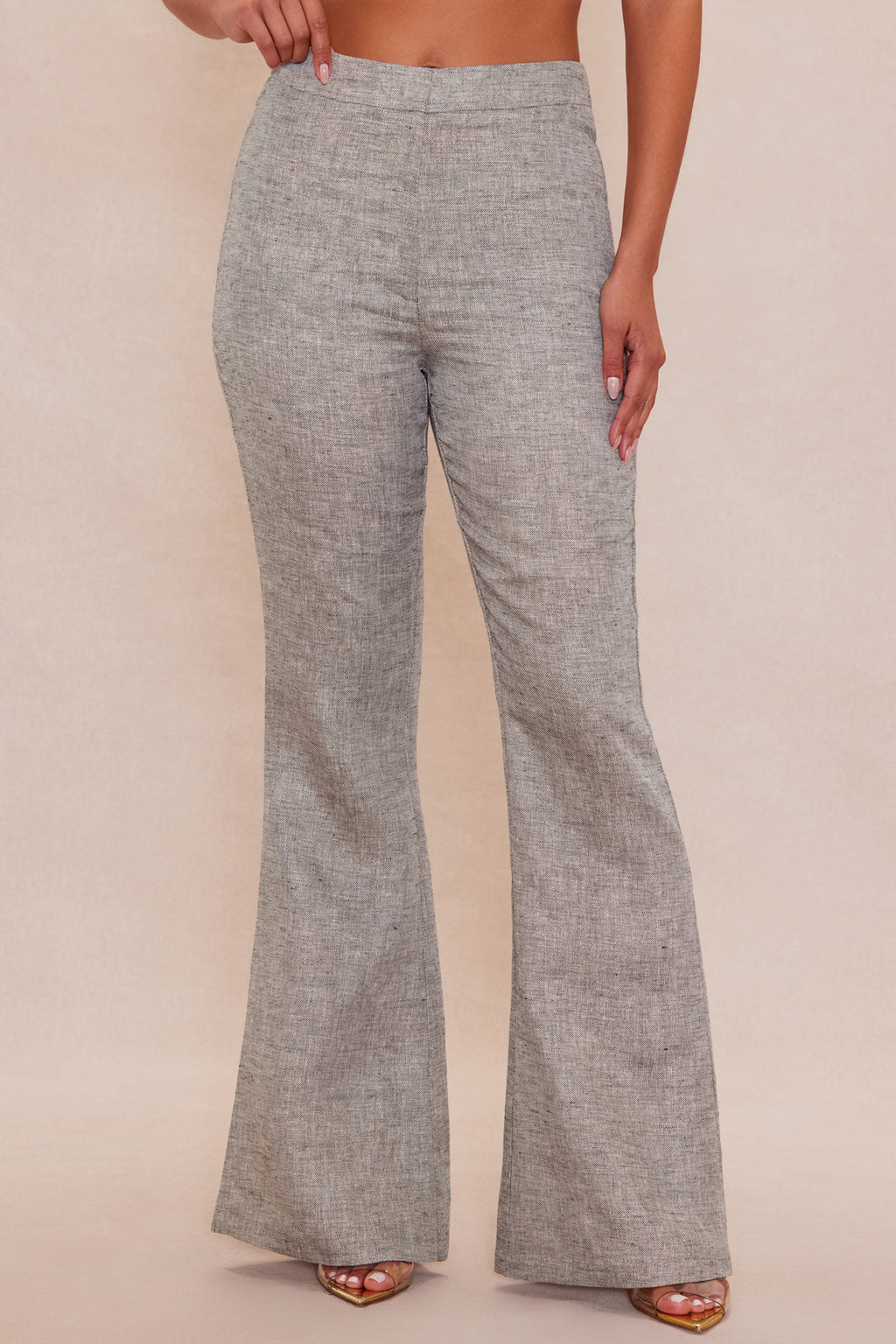 Danielle Metallic Flare Pant - Grey/combo