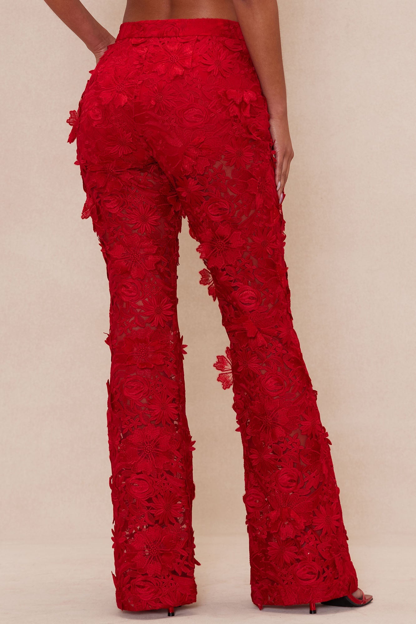 Denise Embroidered Pants - Red