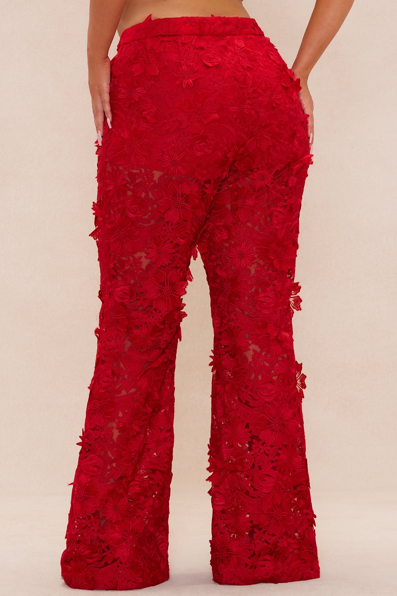Denise Embroidered Pants - Red