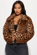 Karma Cropped Faux Fur Coat - Brown/combo